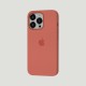 Чохол для iPhone 13 Pro MagSafe Silicone Full Size pink pomelo