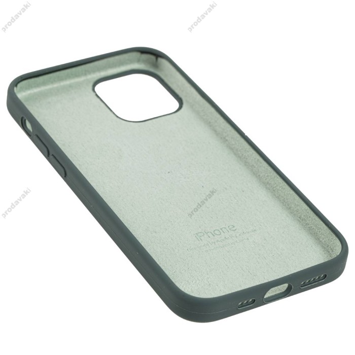 Чохол для iPhone 12/12 Pro Silicone Full зелений / cactus