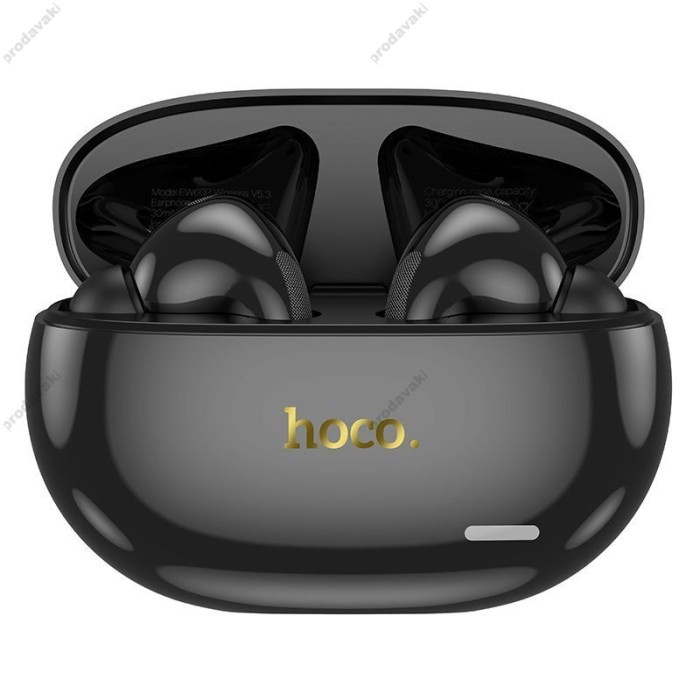 Бездротові Bluetooth навушники Hoco EW60 Plus Norman true wireless ANC headset BT 5.3 Black