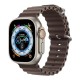 Ремінець для Apple Watch 38mm / 40mm / 41mm Ocean Band Coast ash