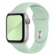 Ремінець для Apple Watch 38mm/40mm/41mm Sport Band Beryl