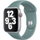 Ремінець для Apple Watch 38mm/40mm/41mm Sport Band Cactus