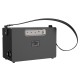 Портативна колонка Bluetooth HOCO BS50 Chanter wireless double mic karaoke speaker 120W Чорна
