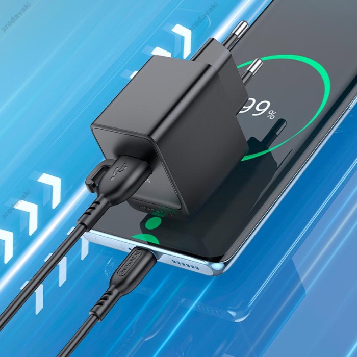 Мережевий зарядний пристрій Borofone BAS12A Erudite single port charger 18W Black