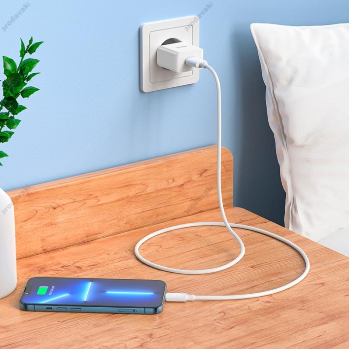 Мережевий зарядний пристрій Hoco C106A Leisure single port charger 10.5W White
