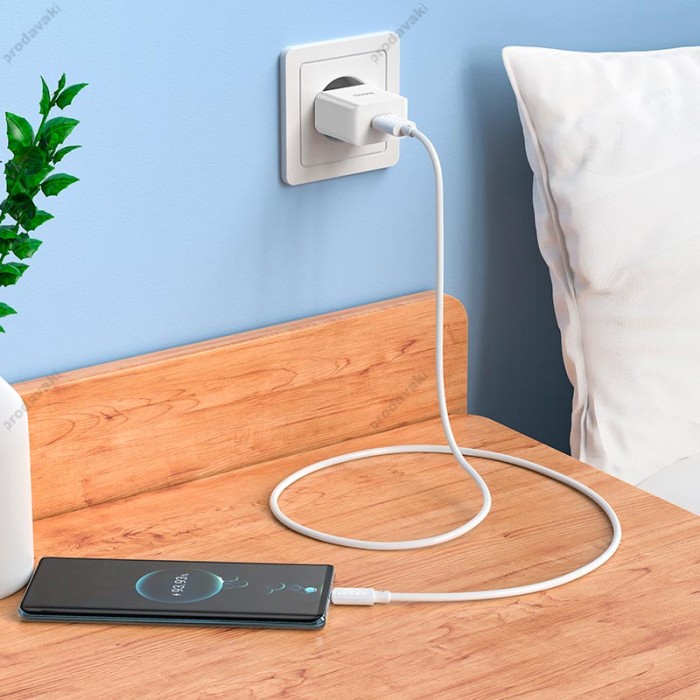 Мережевий зарядний пристрій Hoco C106A Leisure single port charger Type-C cable 10.5W White