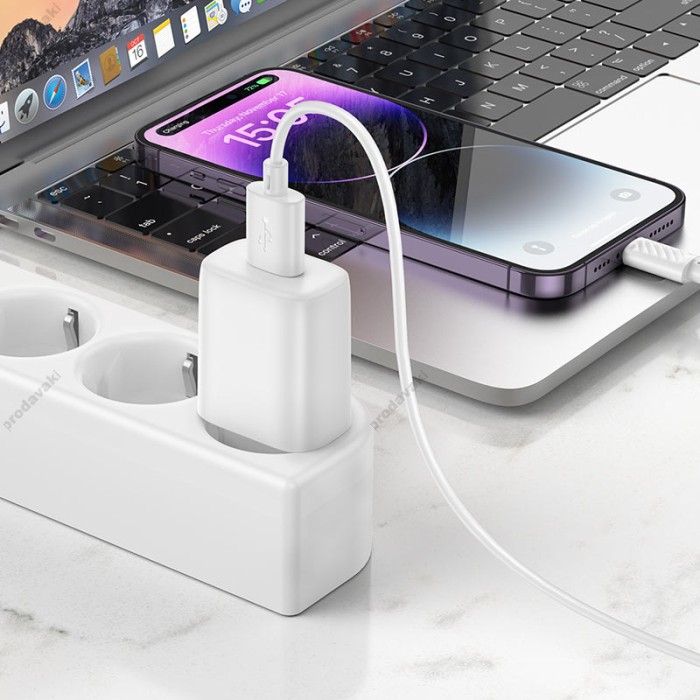 Мережевий зарядний пристрій Hoco C134A Solid single port charger Lightning cable 12W White