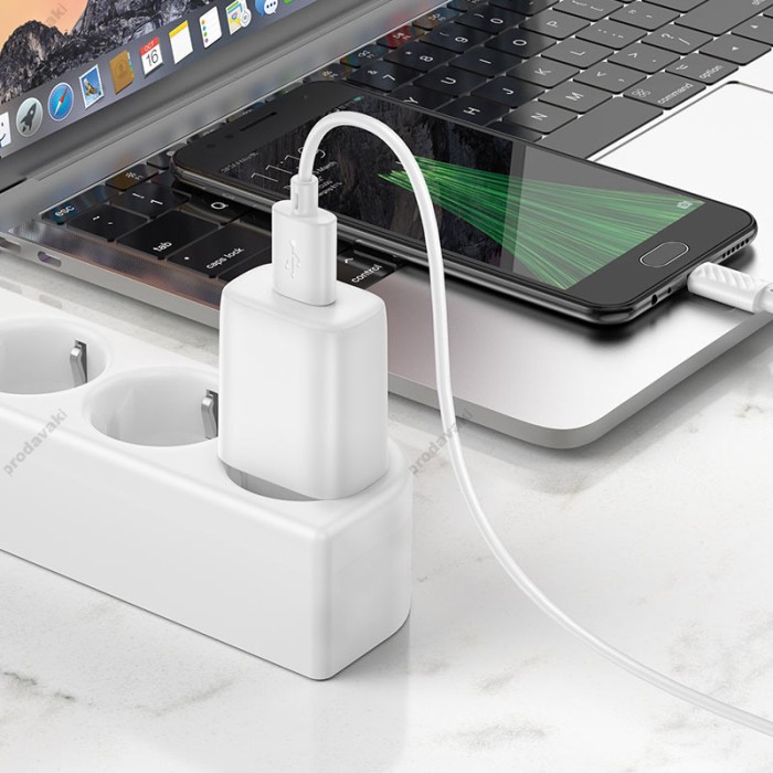 Мережевий зарядний пристрій Hoco C134A Solid single port charger Micro USB cable 12W White
