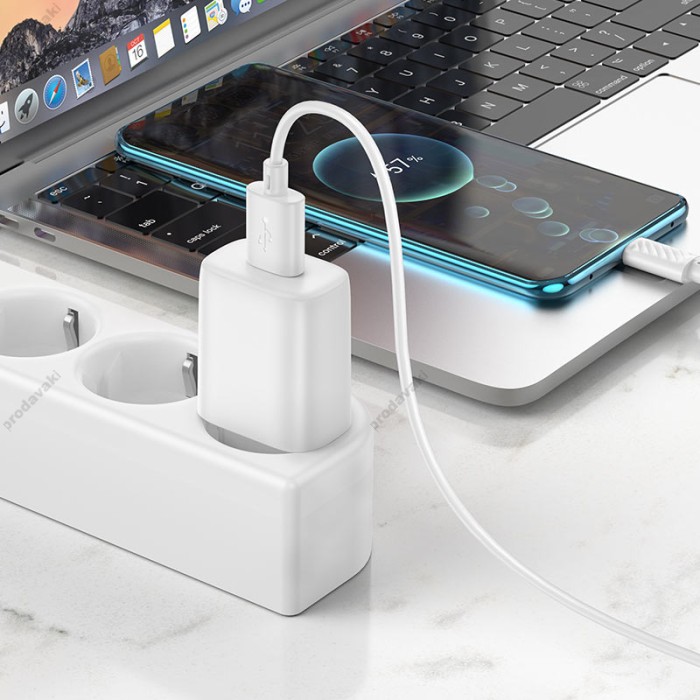 Мережевий зарядний пристрій Hoco C134A Solid single port charger Type-C cable 12W White