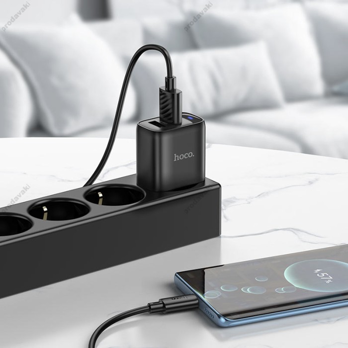 Мережевий зарядний пристрій HOCO C141A Smart dual-port charger Type-C cable 10.5W Black