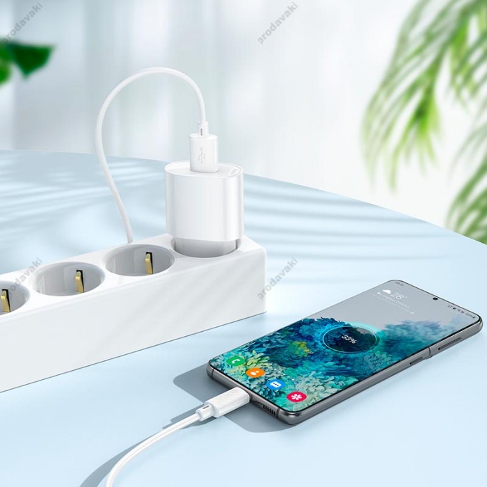 Мережевий зарядний пристрій Hoco C109A Fighter single port charger Micro USB cable 10.5W White