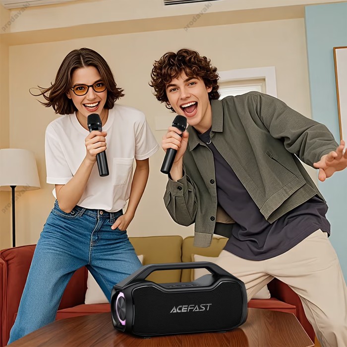Портативна колонка Bluetooth ACEFAST K14 portable karaoke wireless speaker IPX4 BT6.0 120W Black