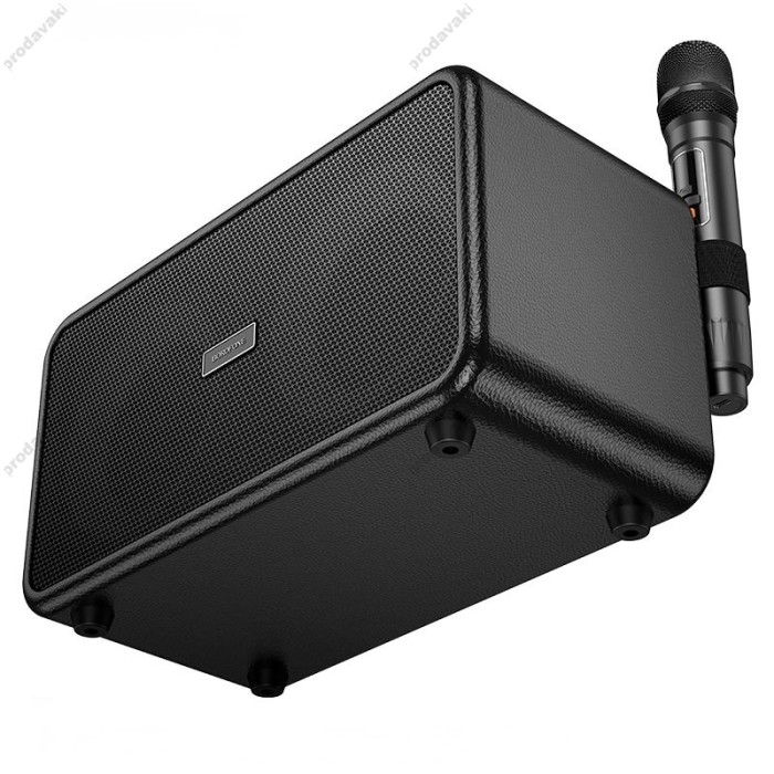 Портативна колонка система караоке Bluetooth Borofone DR22 Present з 2-ма мікрофонами 60W Black