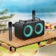 Портативна колонка система караоке Bluetooth Borofone DR22 Present з 2-ма мікрофонами 60W Black