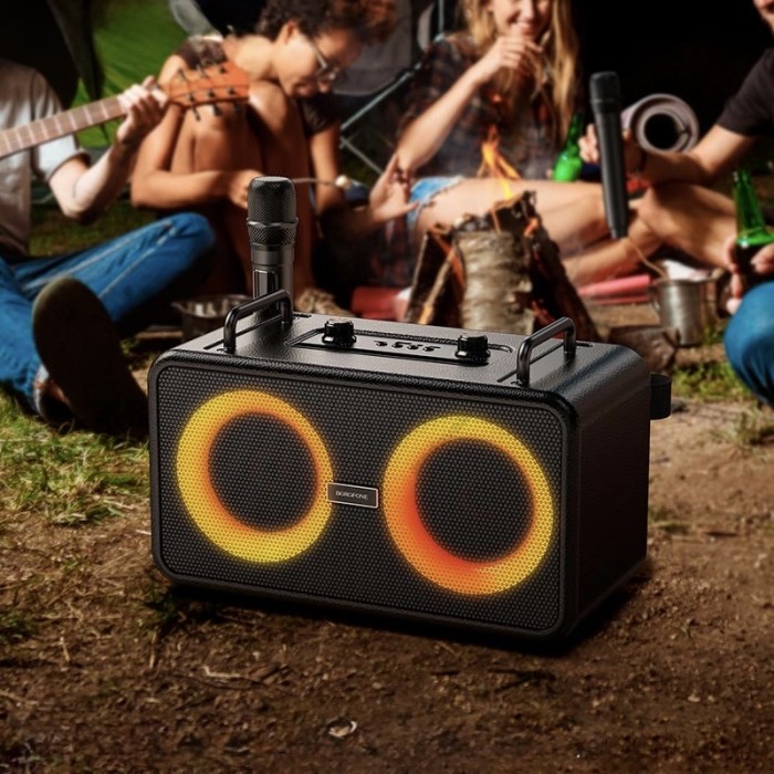 Портативна колонка система караоке Bluetooth Borofone DR22 Present з 2-ма мікрофонами 60W Black