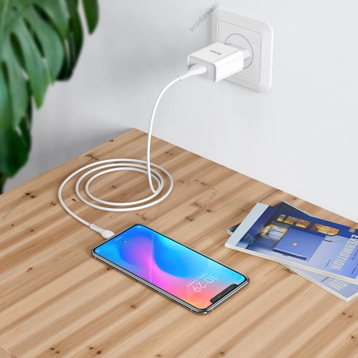 Мережевий зарядний пристрій HOCO C81A Asombroso Micro USB cable 10.5 White
