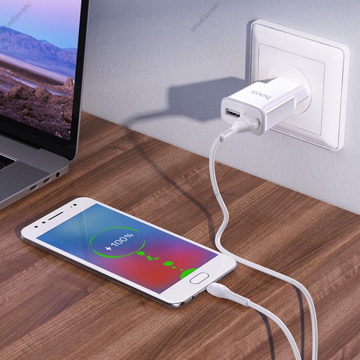 Мережевий зарядний пристрій HOCO C88A Star round dual port charger Micro USB cable 12W White