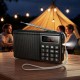 Портативний радіоприймач Veron PR30 Portable radio AM/FM USB/TF/BT5.3 5W Black