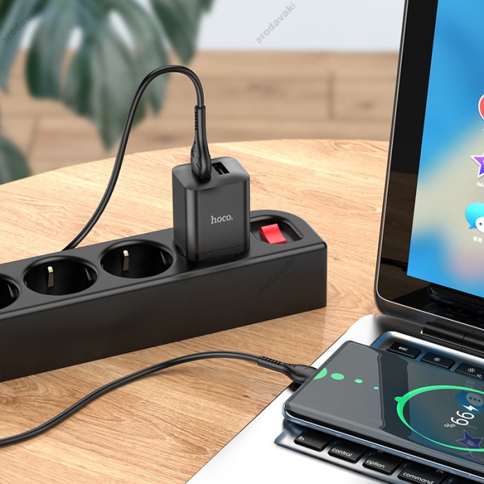 Мережевий зарядний пристрій Hoco N25 Maker dual port charger Type-C cable 10.5W Black
