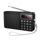 Портативний радіоприймач Veron PR30 Portable radio AM/FM USB/TF/BT5.3 5W Black
