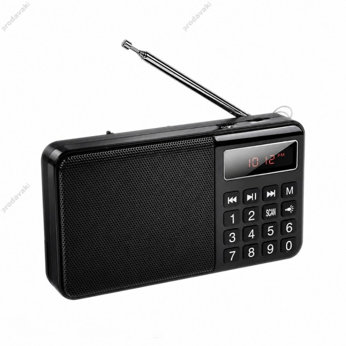 Портативний радіоприймач Veron PR30 Portable radio AM/FM USB/TF/BT5.3 5W Black