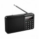 Портативний радіоприймач Veron PR30 Portable radio AM/FM USB/TF/BT5.3 5W Black