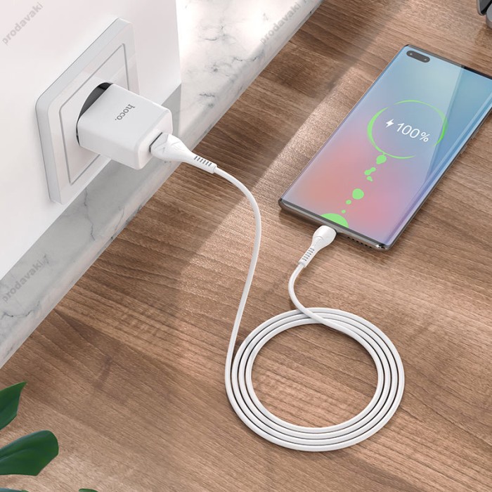 Мережевий зарядний пристрій Hoco N9 Especial single port charger Micro cable 10.5W White