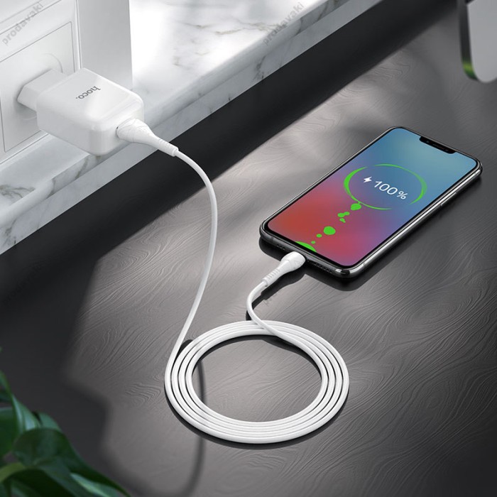 Мережевий зарядний пристрій HOCO N2 Vigour Micro cable 10.5W White