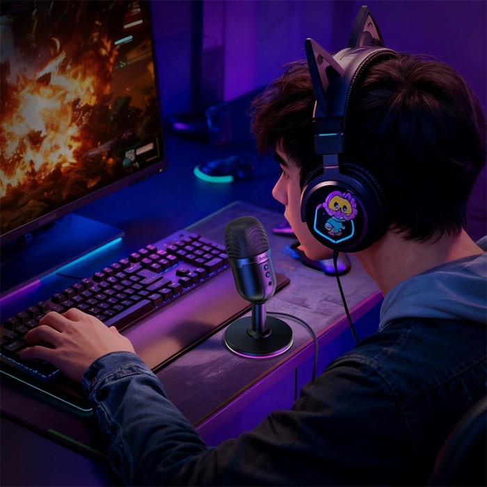 Мікрофон провідний настільний Hoco L25 right USB desktop microphone Black