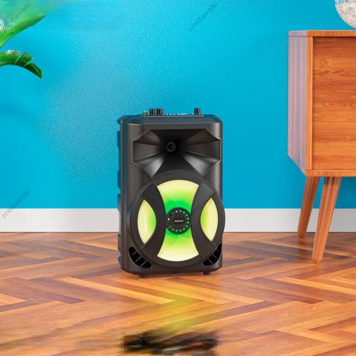 Портативна колонка система караоке Borofone DR01 10W Black