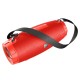 Портативна колонка Bluetooth BOROFONE BR14 Coolant sports 16W red