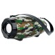 Портативна колонка Bluetooth BOROFONE BR14 Coolant sports 16W camouflage green