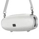 Портативна колонка Bluetooth BOROFONE BR12 Amplio sports 10W grey