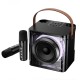 Портативна колонка система караоке Bluetooth BOROFONE DR23 Deep RGB з 2-ма мікрофонами 15W Black