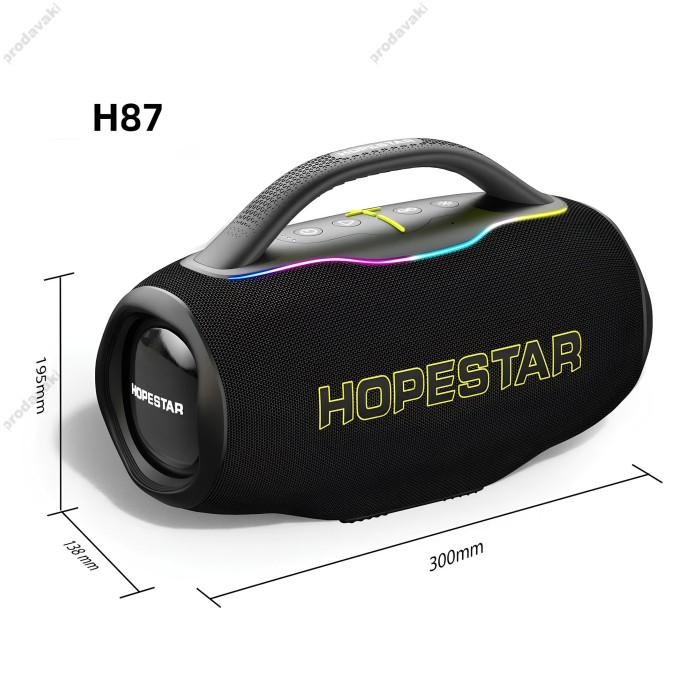 Портативна колонка Bluetooth HOPESTAR H87 70W Black