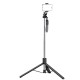 Монопод-трипод Monopod Large Tripod CH C07 stainless steels 2.01m Black