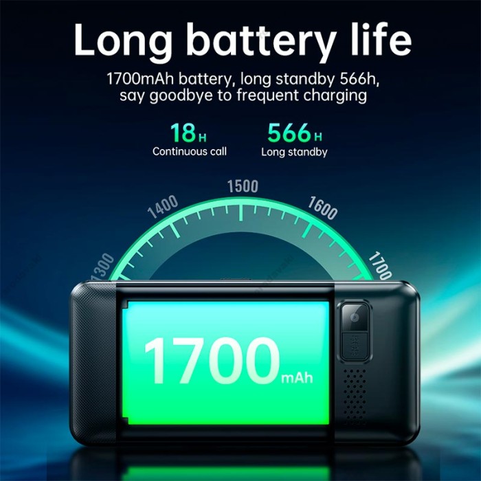 Мобільний телефон HOCO 1385 Dual SIM easy Mobile Phone with Camera and Assistance Button Black