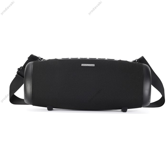 Портативна колонка Bluetooth Sounarc R2 IPX6 BT5.3 60W Black