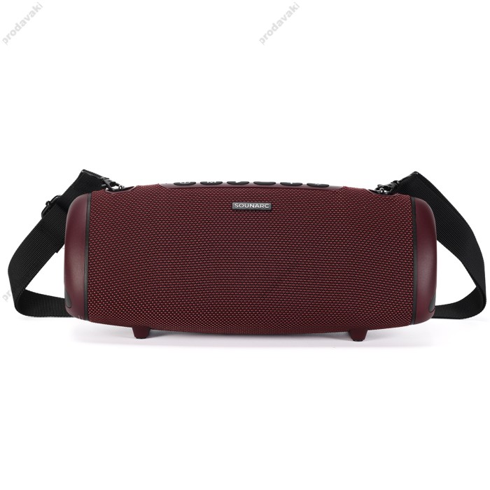Портативна колонка Bluetooth Sounarc R2 IPX6 BT5.3 60W Red