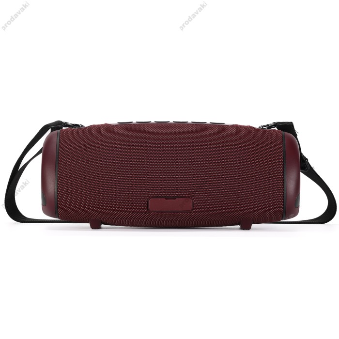 Портативна колонка Bluetooth Sounarc R2 IPX6 BT5.3 60W Red