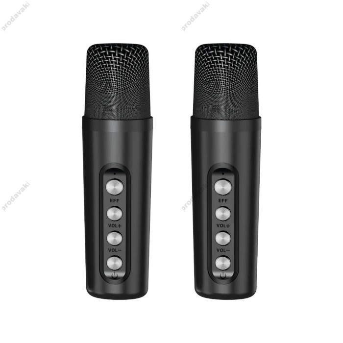 Портативна колонка Bluetooth CH CL-227 мікрофон 2 шт 10W Black