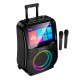 Портативна колонка Bluetooth HOCO DS71 RGB outdoor karaoke 60W Black