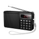 Портативний радіоприймач HOCO HI50 Portable radio AM/FM USB/TF/BT5.3 5W Black
