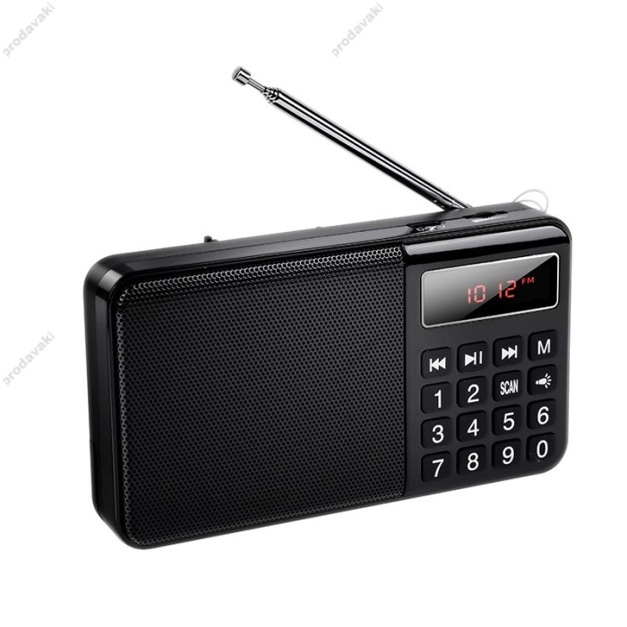 Портативний радіоприймач HOCO HI50 Portable radio AM/FM USB/TF/BT5.3 5W Black