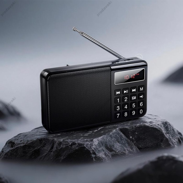Портативний радіоприймач HOCO HI50 Portable radio AM/FM USB/TF/BT5.3 5W Black