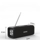 Портативна колонка Bluetooth Hopestar T9 10W Black