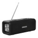 Портативна колонка Bluetooth Hopestar T9 10W Black