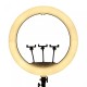 Лампа кільцева LED Ring Light CH LJJ-22 56см 2700-6500К з пультом