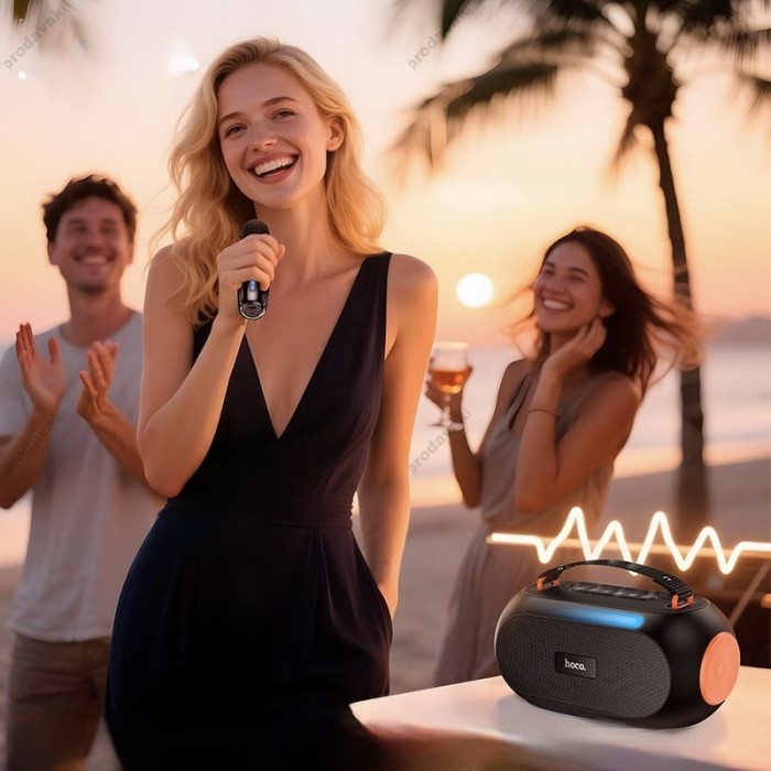 Портативна колонка Bluetooth Hoco DS64 Cool portable 30W Black