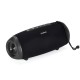 Портативна колонка Bluetooth Sounarc R1 IPX6 BT5.3 40W Black